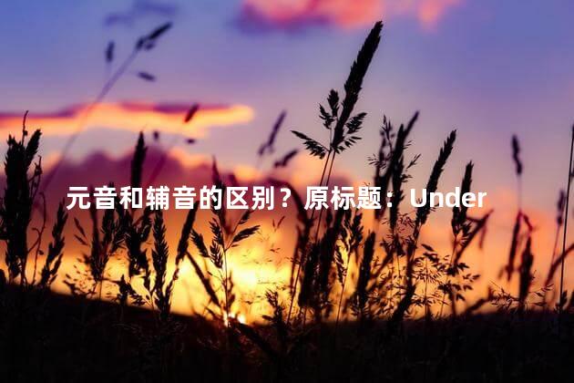 元音和辅音的区别？原标题：Understanding the Difference Between Vowels and Consonants 新标题：Vowe